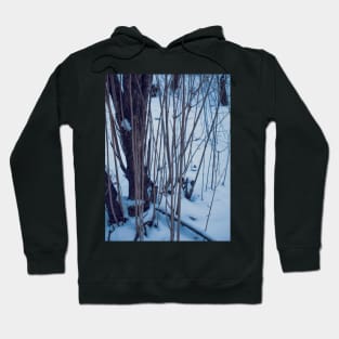 Winter in the forest Hoodie